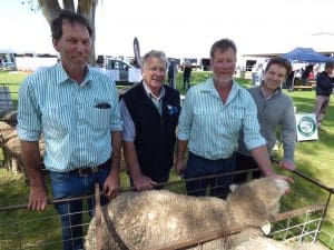 SA sire trial supporters, from left, Joe Keynes, Merino SA president Roger Fiebig, Graham Keynes, and Stephen Hill.