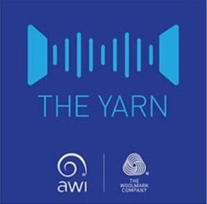 the-yarn-awi-oct-31-16