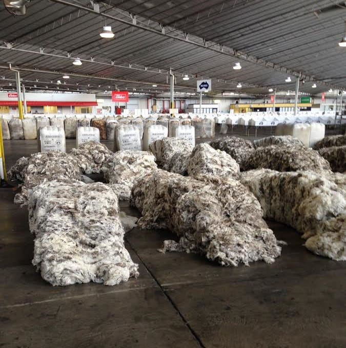 Wet wool drying in the Brooklyn wool store. Oct 2016 Sheep Central