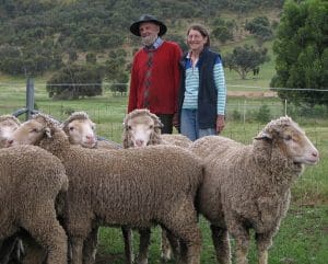 Merino breeders Andrew and Barbara Read.