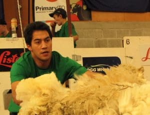 NZ wool handler Joel Henare.