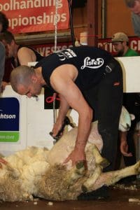 NZ shearer Nathan Stratford. Picture - Shearing Sports NZ.