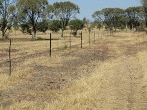 An electrified wild dog exclusion fence.