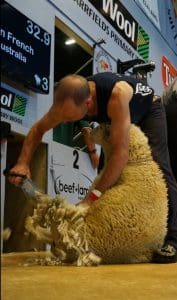 Victorian blade shearer Ken French at Invercargill. Picture - Flick Wingfield.