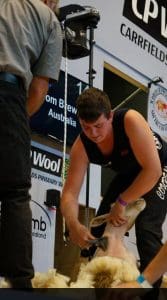 Naracoorte shearer Tom Brewer at Invercargill. Picture - Flick Wingfield.