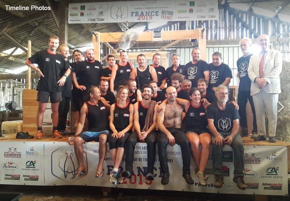 French shearers set first sheep shearing record of 1328 in 9 hours