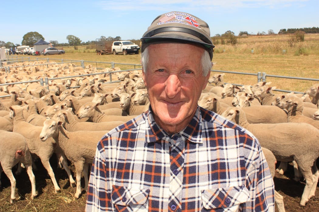 Lamb producer pays record 302 at Edenhope first cross ewe sale Sheep