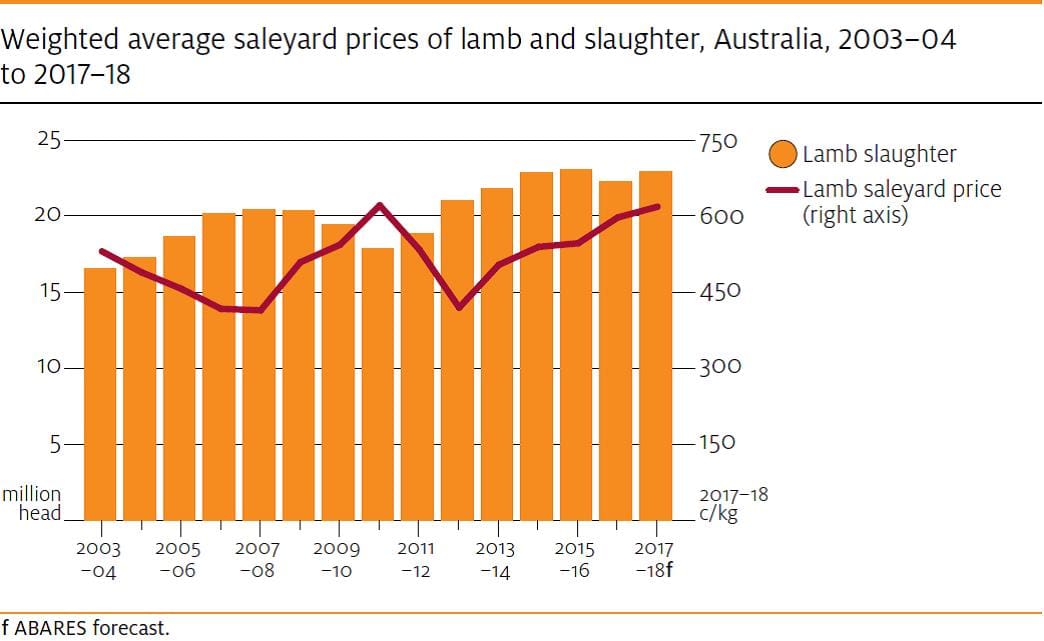 Lamb, sheep and wool prices forecast to rise, with modest flock growth