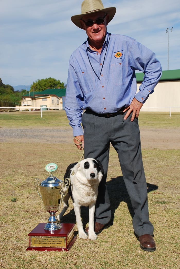 Legendary sheep dog trialler Greg Prince finds homes for his dogs
