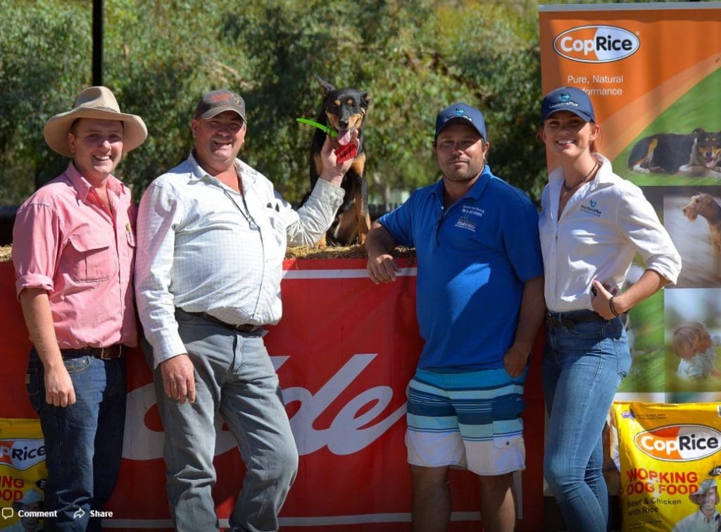 Australian yard dog champion's 14,000 sale record at Jerilderie Sheep Central