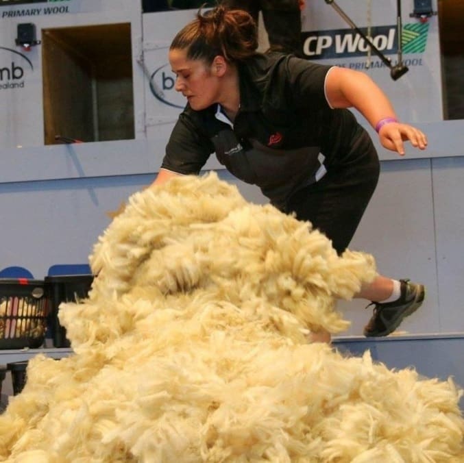 New Zealand wool handler scores first open class win at Southern Shears