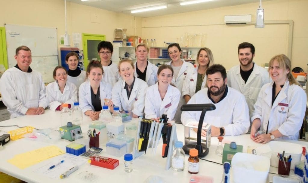 WA initiative introduces vet students to livestock biosecurity Sheep