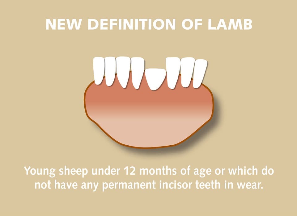 Australia's new lamb definition implemented by mid2019 Sheep Central