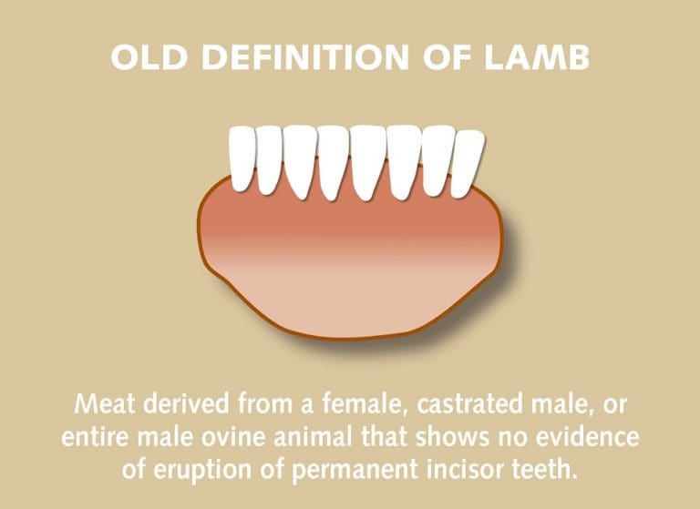 Australia's new lamb definition implemented by mid2019 Sheep Central