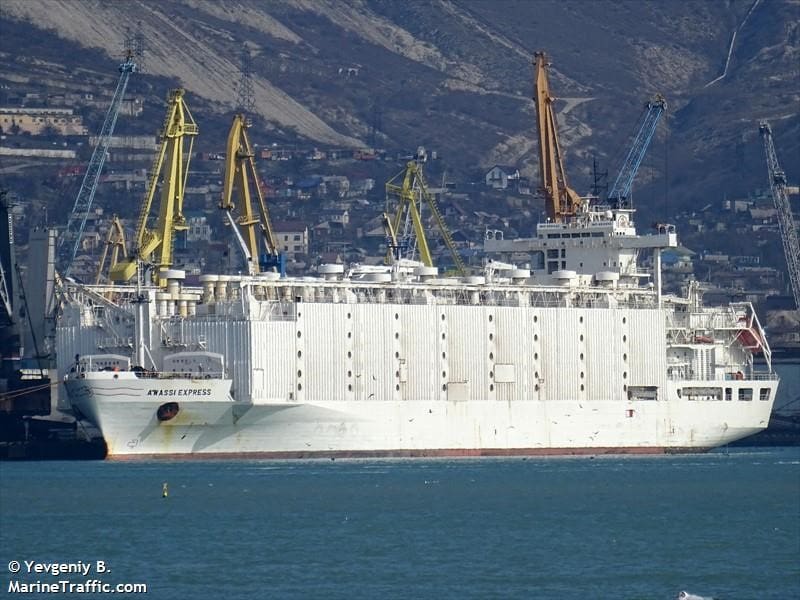 Live sheep vessel the Awassi Express delayed by ventilation works ...