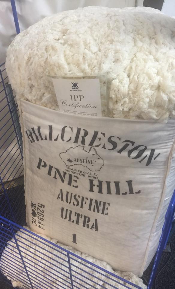 Schneider buys 11.7 micron ultrafine wool bale for 41,000c/kg Sheep