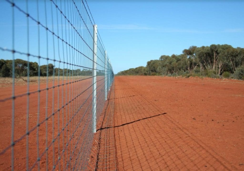 Exclusion fencing Sheep Central