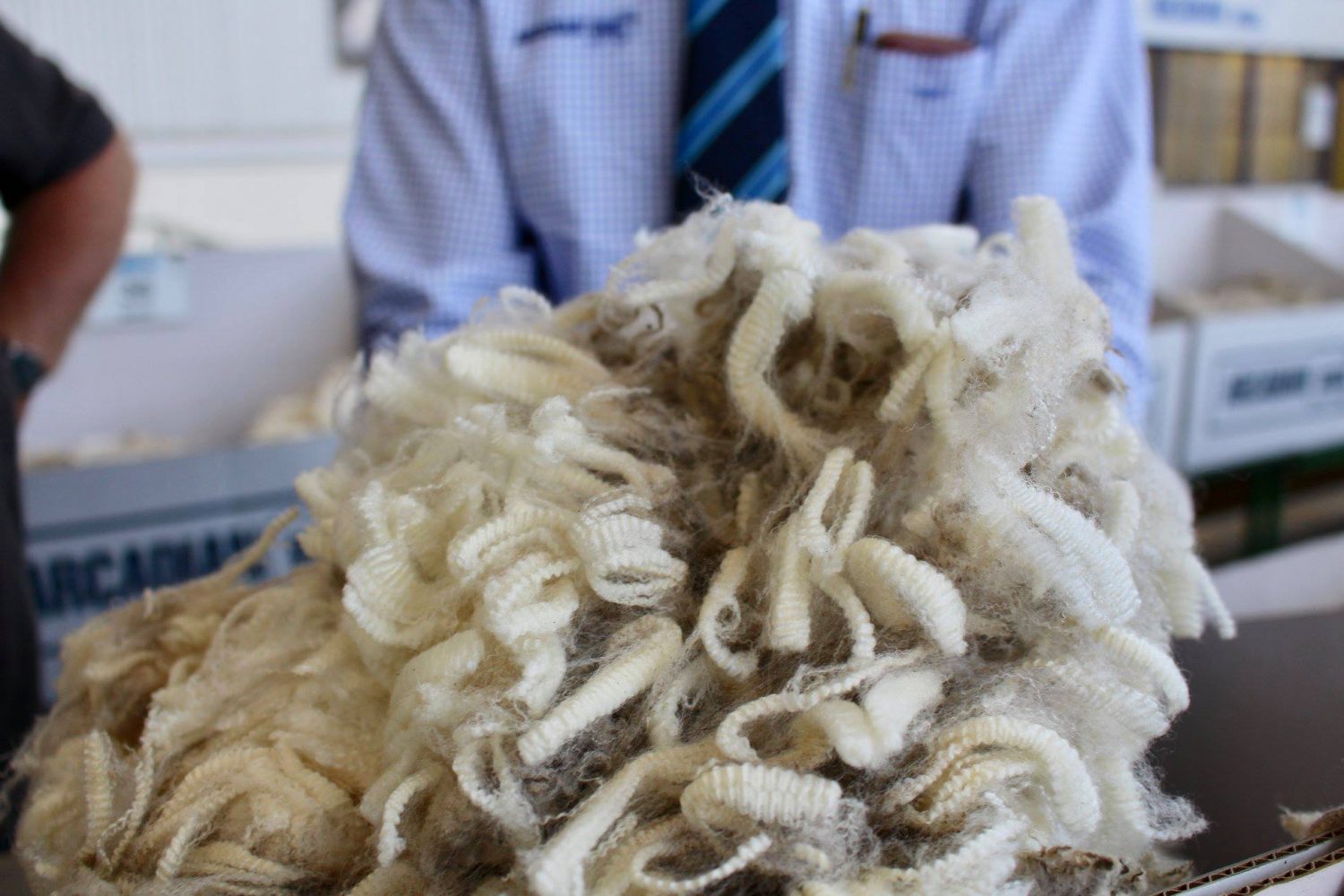 Crossbred wool prices continue to ride return of fake fur 