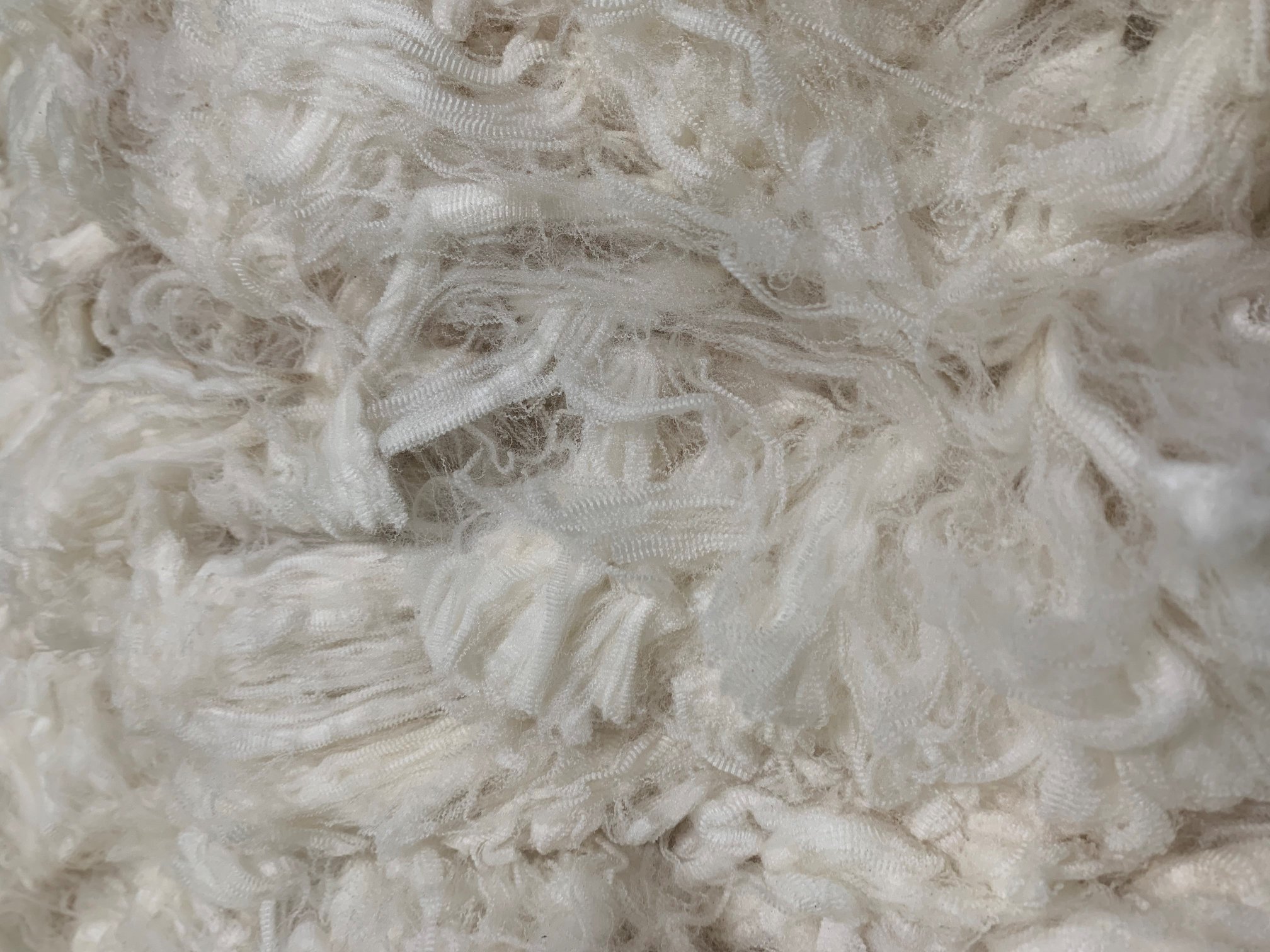 Pure new wool, merino lamb's wool or shetland wool – what's the