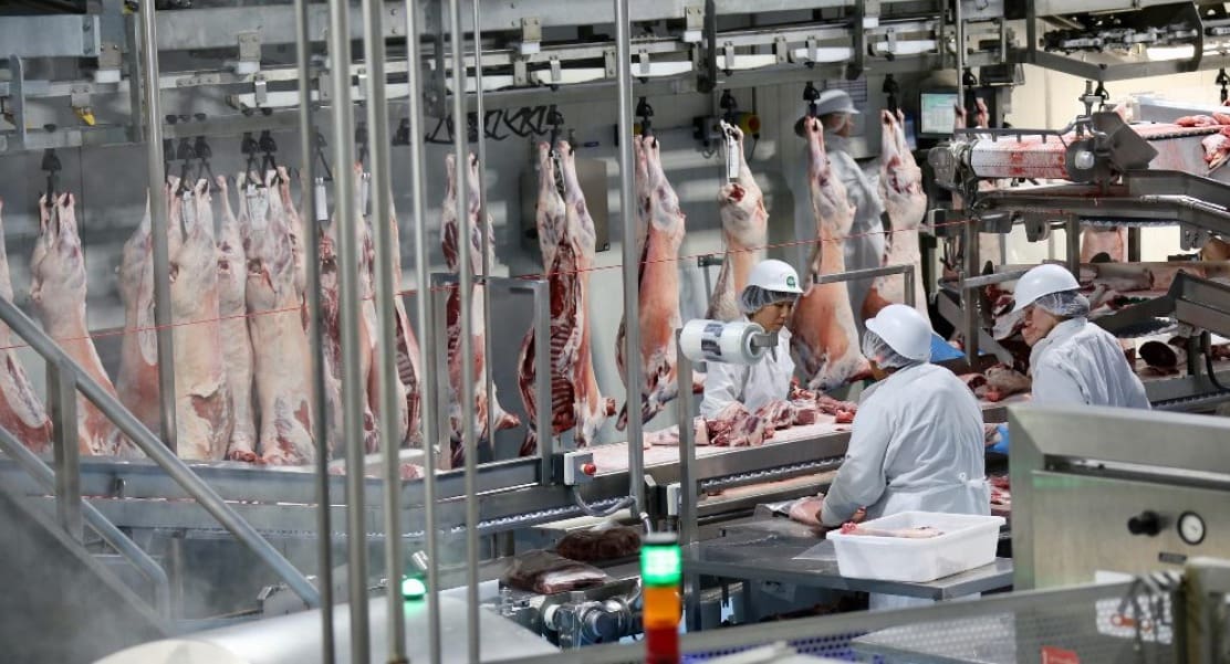 Lamb feedback, efficiency and consumer needs drive Gundagai Sheep Central