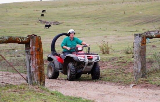 victorian-government-extends-quad-bike-and-side-by-side-rebate-sheep