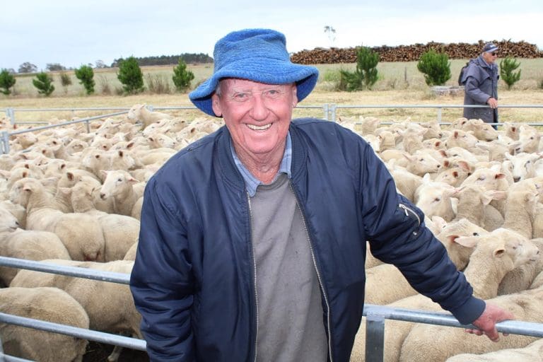 Rodwell Edenhope sale sets Victorian first cross ewe record Sheep Central