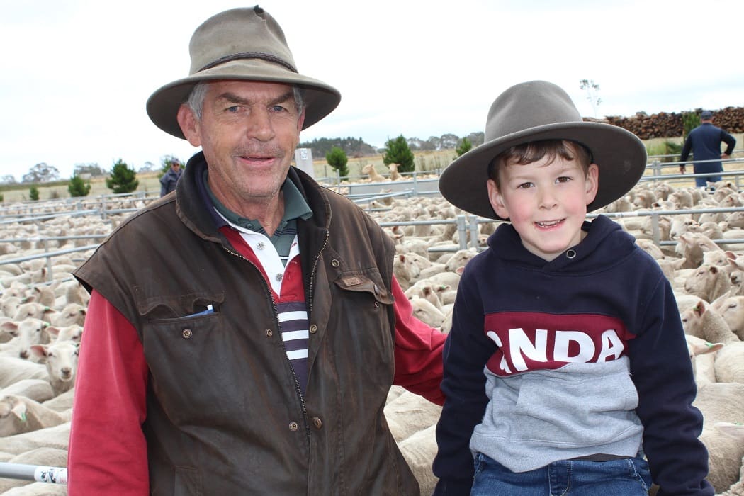 Rodwell Edenhope sale sets Victorian first cross ewe record Sheep Central
