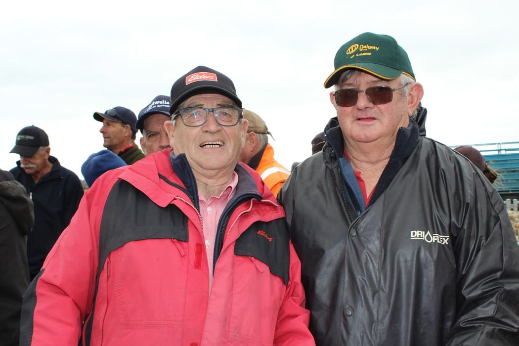 Rodwell Edenhope sale sets Victorian first cross ewe record Sheep Central