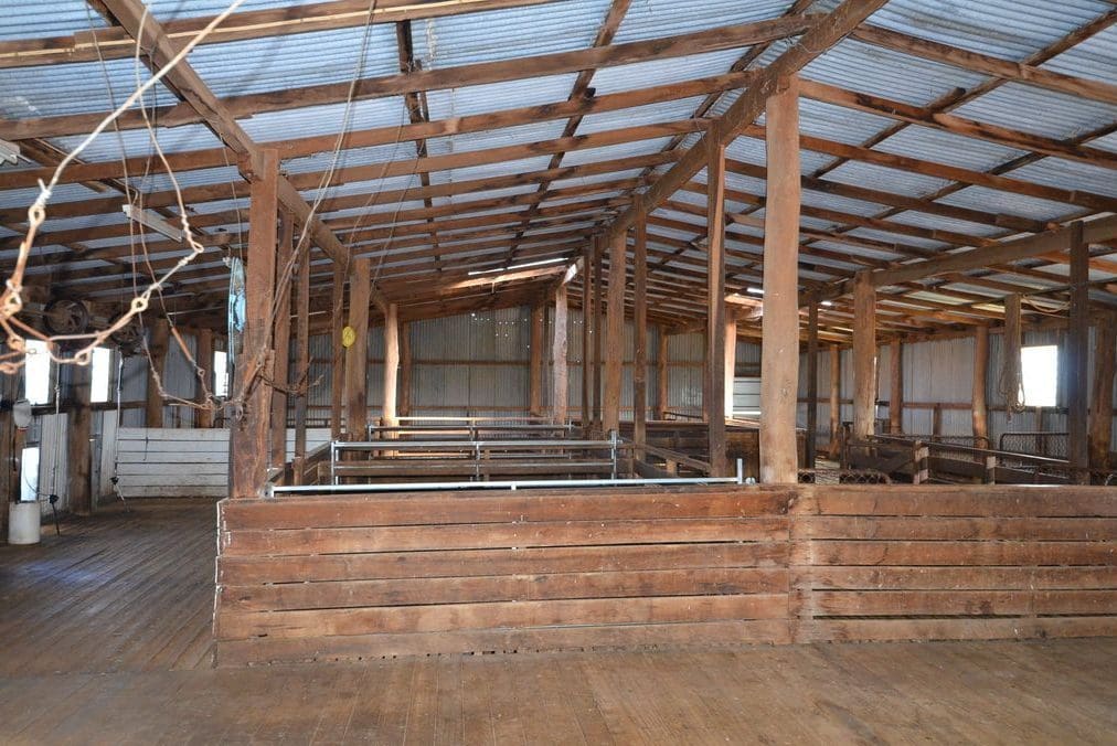 Wallaloo East wool shed Sheep Central
