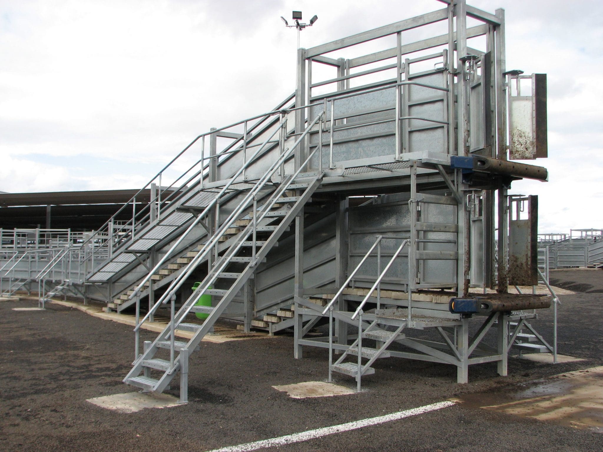 Loading ramp changes must be guidelines only, say livestock bodies