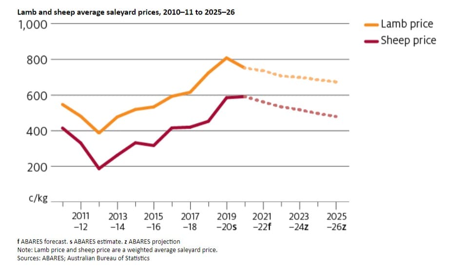 ABARES forecasts small falls in lamb and mutton prices, wool to lift