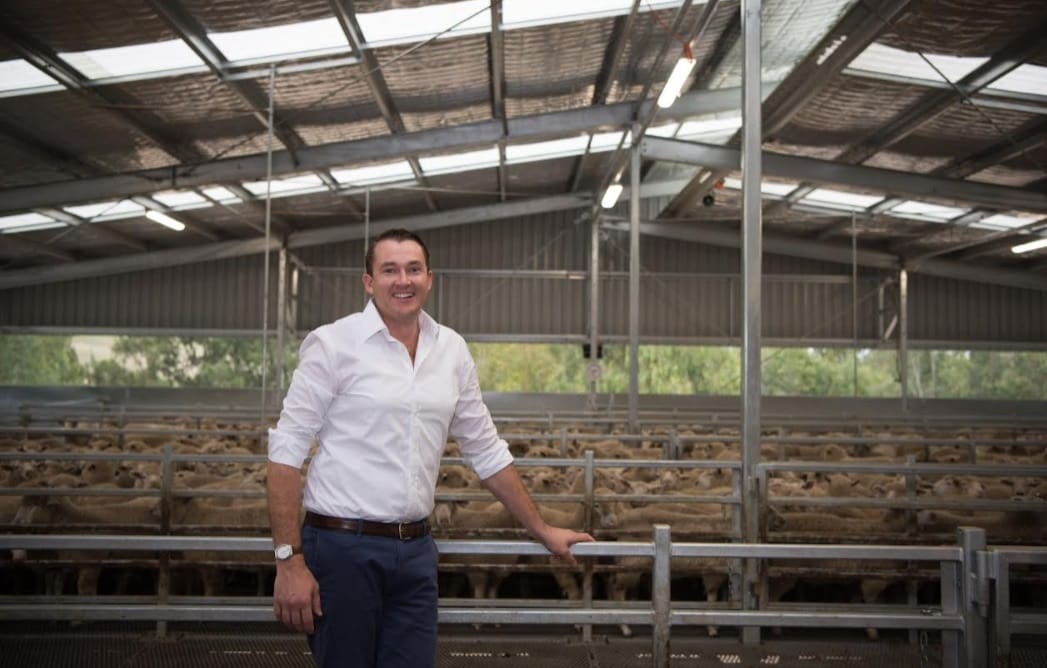 AUSMEAT lamb intramuscular fat approval puts MSA model in reach
