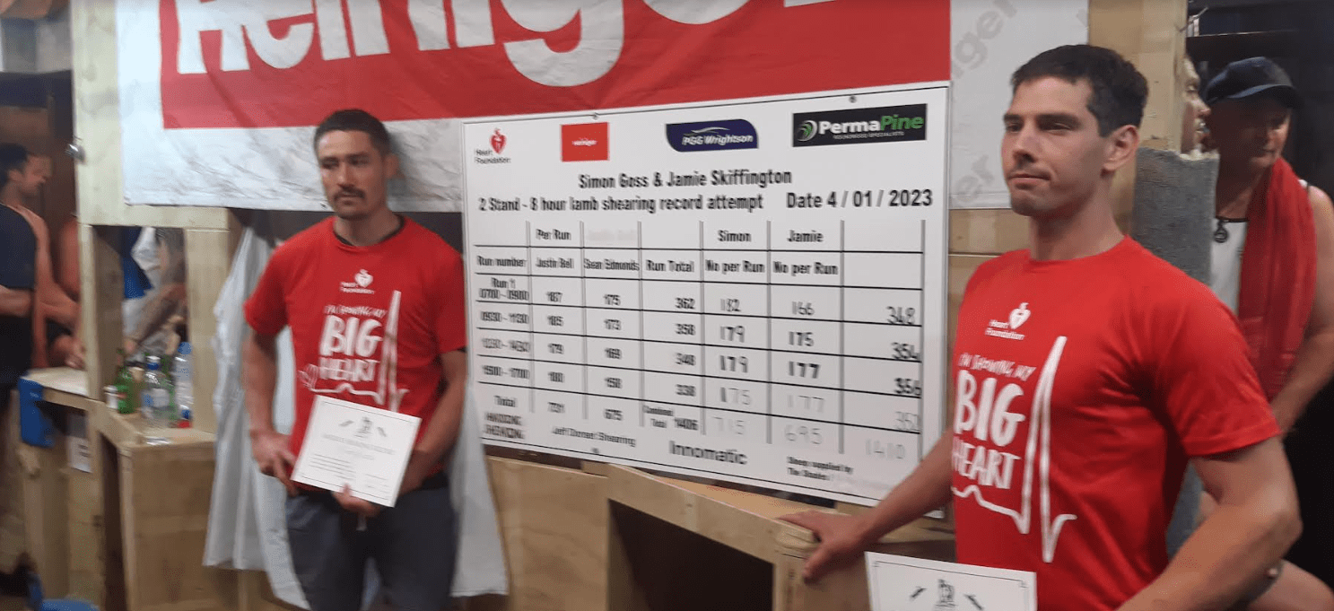 World twostand lamb shearing record stretched to 1410 Sheep Central