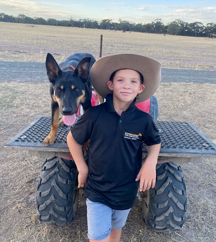 Drovers hotsell dream kelpies