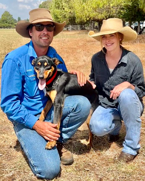 Peterson Flo was the go for $31,000 at working dog sale - Sheep Central