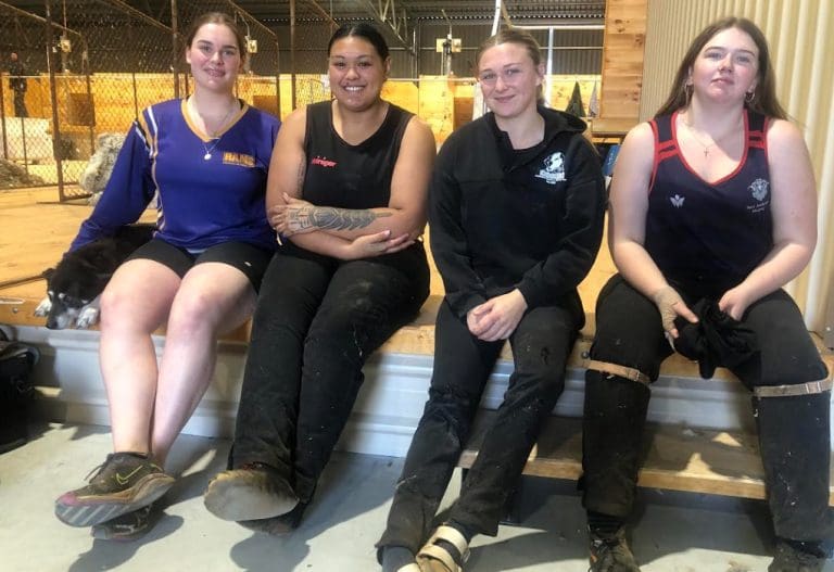 Shearers get quality tips at women's shearing Sheep Central
