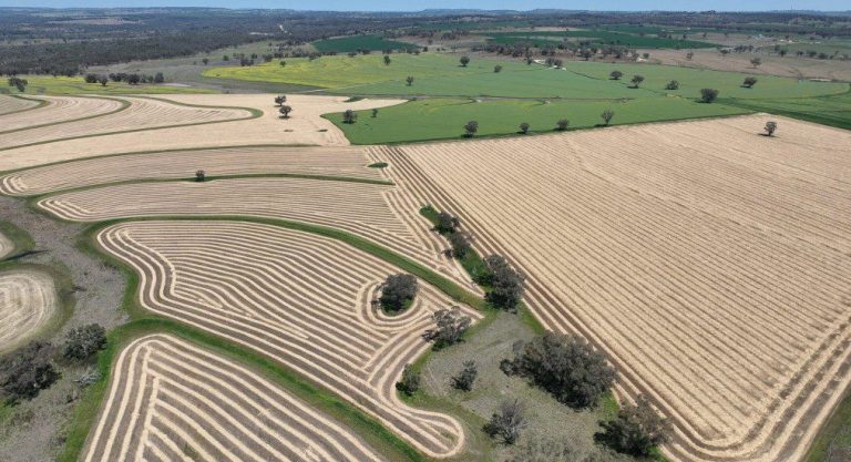 Sale of Tasmania's largest farm awaits regulatory approval - Sheep Central